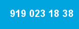 919 023 18 38